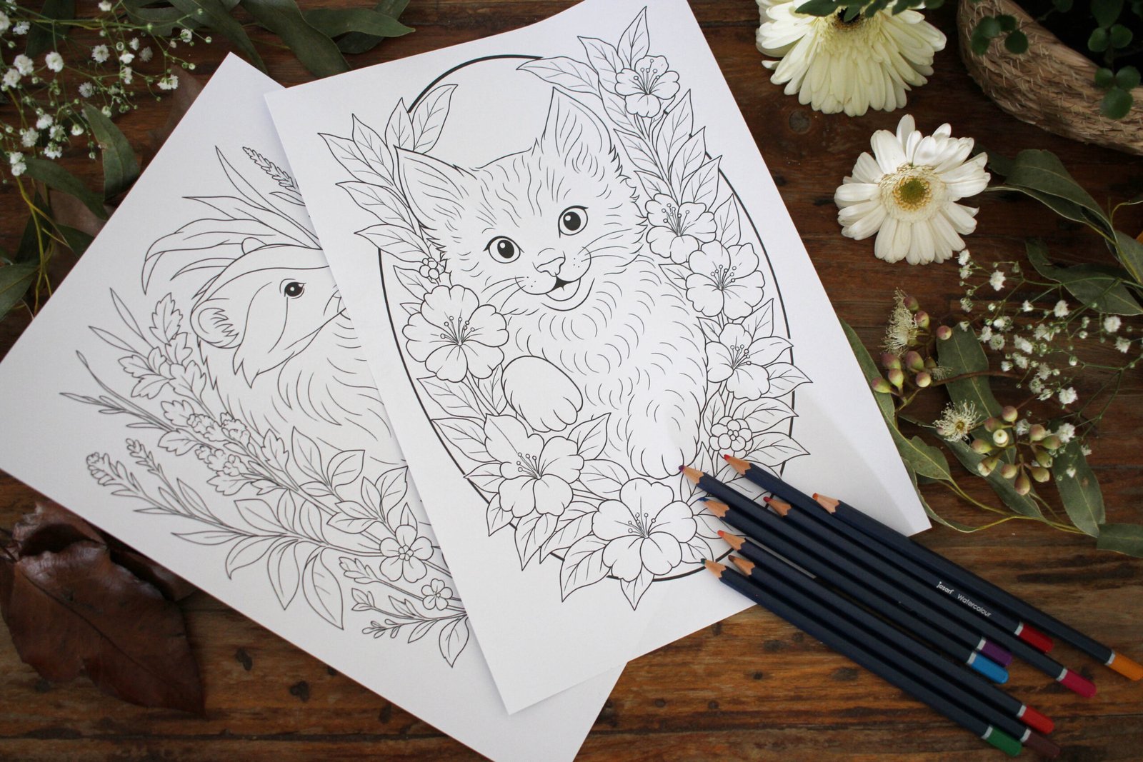 Colouring book printouts of a cat and a badger.