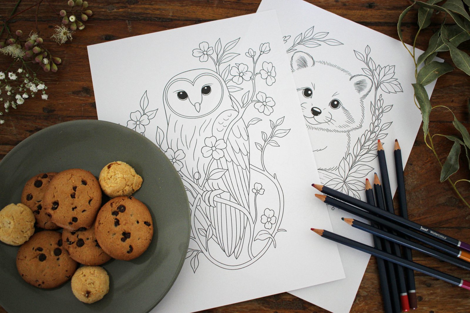 Colouring book print outs of an owl and a raccoon.